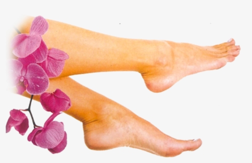 1000 Hour Softsole Express, HD Png Download, Transparent PNG
