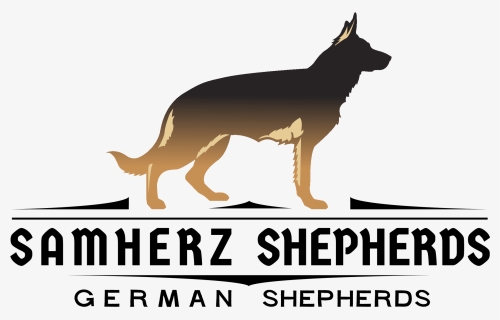 Old German Shepherd Dog , Png Download, Transparent Png, Transparent PNG
