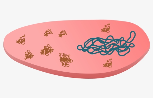 Inclusion Body In Cloned Bacteria Clip Arts, HD Png Download, Transparent PNG