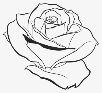 Rose Outline - Small Rose Outline, HD Png Download , Transparent Png ...