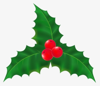 Holly At Getdrawings Com, HD Png Download, Transparent PNG