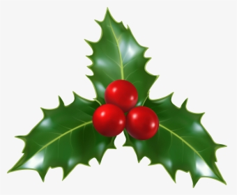 Christmas Holly Mistletoe Png Clip - Transparent Background Holly Jpg, Png Download, Transparent PNG