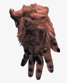 Hairy Brown Monster Hands - Imagenes De La Mano Pachona, HD Png Download, Transparent PNG
