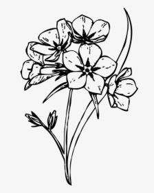 Floral Design /m/02csf Cut Flowers Drawing - Flower Clipart Black And White Transparent Background, HD Png Download, Transparent PNG