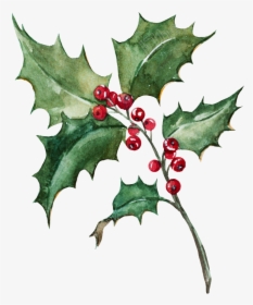 Christmas Leaf Watercolor Png, Transparent Png, Transparent PNG