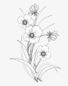 Clip Art Flowers Drawing - Transparent Flower Drawing Png, Png Download, Transparent PNG