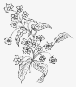 Black White Sketchy Flowers Free Png - Flower Line Art Transparent Background, Png Download, Transparent PNG