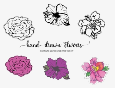 Hand Drawn Flowers Example Image - Line Art, HD Png Download, Transparent PNG