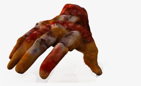 Hand, Spooky, Zombie, Weird, Blood, Horror, Isolated - Marine Invertebrates, HD Png Download, Transparent PNG