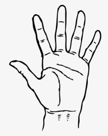 Praying Hands Clip Art - Hand Clip Art Black And White, HD Png Download, Transparent PNG