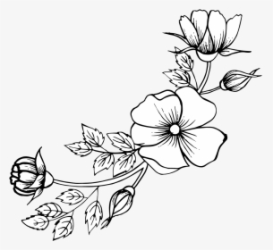 Hand Drawn Flower Png, Transparent Png, Transparent PNG