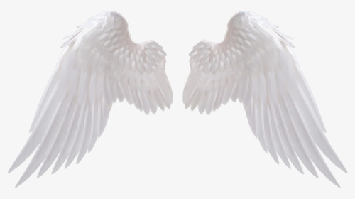 Angel Wings Png Download Image 1 Vector, Clipart, Psd - White Angel Wings Png, Transparent Png, Transparent PNG