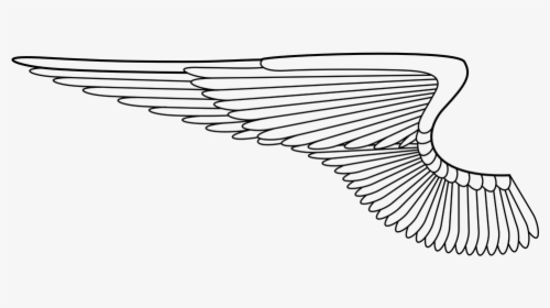 Angel Wings, Angel, Wing, Bird, Feathers, Flying - Angel Wing Vector Png, Transparent Png, Transparent PNG