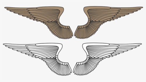 Wings, Angel, Eagle, Angel Wings, Heaven, Feather, - Wing Clip Art, HD Png Download, Transparent PNG