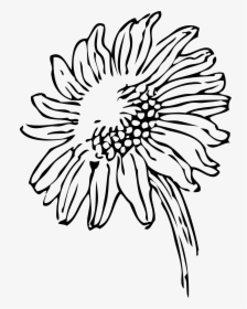 Flower Vase Png Black White Transparent Flower Vase - Black And White Sunflower Clipart Png, Png Download, Transparent PNG