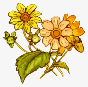 Transparent Wildflowers Clipart - Yellow Flower Drawing Png, Png Download, Transparent PNG