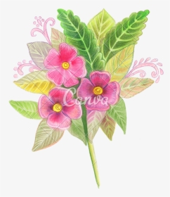 Hand Drawn Colored Pencils Of Red Flowers - Periwinkle, HD Png Download, Transparent PNG