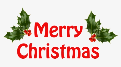 Merry Christmas Holly Transparent Background Christmas - Merry Christmas Card Minimal, HD Png Download, Transparent PNG