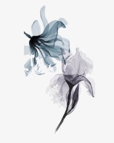 Flower X Ray Png, Transparent Png, Transparent PNG