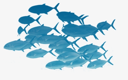 Fishes Png Page - School Of Fish Transparent, Png Download, Transparent PNG