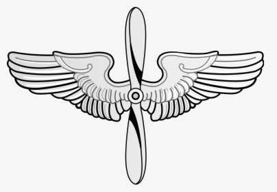 Air Force Flight Surgeon Badge, HD Png Download, Transparent PNG