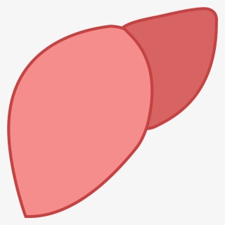 Hígado Png - Liver Icon, Transparent Png, Transparent PNG