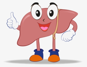 Liver Transplant Animated, HD Png Download, Transparent PNG