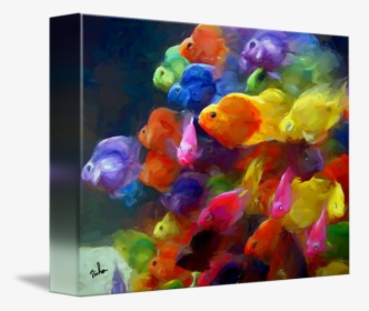 Transparent Bluegill Clipart - Beautiful Fish, HD Png Download, Transparent PNG