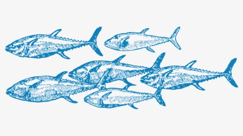 Small School Of Fish Drawing, HD Png Download, Transparent PNG