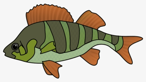 Collection Of School Of Tropical Fish Drawing High - Drawing, HD Png Download, Transparent PNG