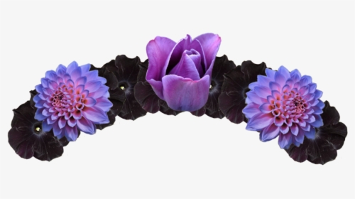 Purple And Black Flower Crown Transparent Png Image - Black Flower Crown Png, Png Download, Transparent PNG