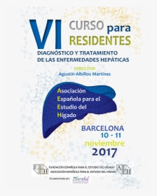 Vi Curso Para Residentes - Flyer, HD Png Download, Transparent PNG