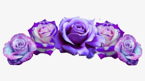 #flowercrown #flower #crown #headpiece #headband #pretty - Transparent Purple Transparent Flower Crowns, HD Png Download, Transparent PNG