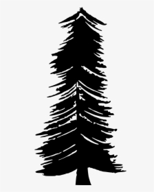 Christmas Tree Silhouette Transparent Background, HD Png Download, Transparent PNG