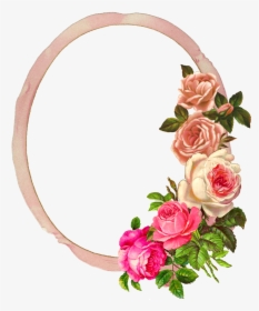 Pink,flower,cut Family,garden Roses,wedding Ceremony - Flower Rose Photo Frame, HD Png Download, Transparent PNG