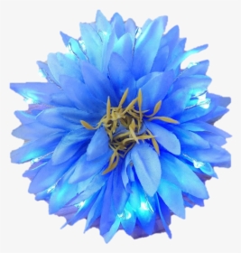 Blue Dahlia Flower Png, Transparent Png, Transparent PNG
