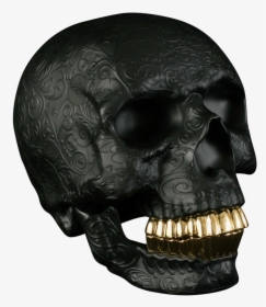 Transparent Black Skull Png - Gold And Black Skull Png, Png Download, Transparent PNG