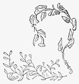Transparent Vintage Flower Vector Png - Illustration, Png Download, Transparent PNG