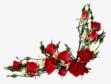 Vector Flowers, Flower Clipart, Vintage Roses, Vintage - Red Flower Vector Png, Transparent Png, Transparent PNG