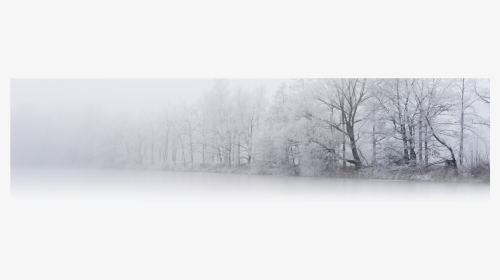 Transparent Falling Snow Png - Snow, Png Download, Transparent PNG