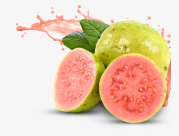 Download Guava Png Pic - Guava Png, Transparent Png, Transparent PNG