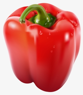 Bell Pepper Transparent Background, HD Png Download, Transparent PNG