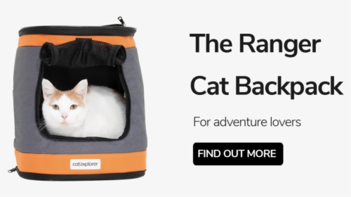 Ranger Cat Backpack Carrier - Domestic Short-haired Cat, HD Png Download, Transparent PNG