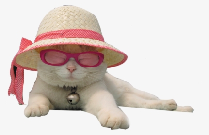 Transparent Pink Santa Hat Png - Sun Hat For Cats, Png Download, Transparent PNG