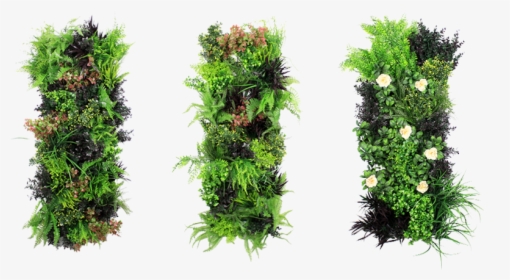 Artificial Vertical Garden - Vertical Green Wall Png, Transparent Png, Transparent PNG