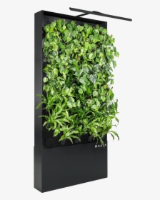 Naava One Slim Graphite Black Oblique Vertical Garden - Vertical Garden Plants Png, Transparent Png, Transparent PNG