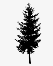 Fir-tree Png Image With Transparent Background - Silhouette Pine Tree Png, Png Download, Transparent PNG