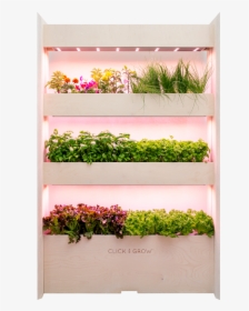 Click And Grow Wall Farm, HD Png Download, Transparent PNG