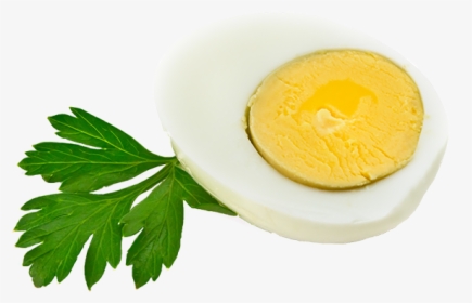 The Hard Boiled Egg Diet - Hard Boiled Egg Png, Transparent Png, Transparent PNG
