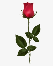 Red Rose With Stem Clip Art Png Image Gallery Yopriceville - High Quality Rose With Stem, Transparent Png, Transparent PNG